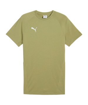 puma-teamevostripe-t-shirt-gruen-f40-659953-fussballtextilien_front.png