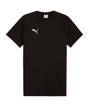 puma-teamevostripe-t-shirt-schwarz-f03-659953-fussballtextilien_front.png