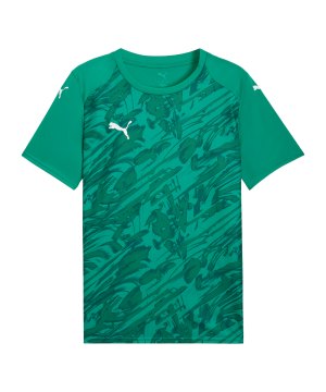 puma-teamfinal-graphic-trikot-gruen-f05-706536-teamsport_front.png