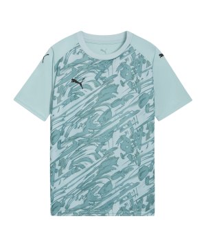 puma-teamfinal-graphic-trikot-kids-gruen-f41-706537-teamsport_front.png