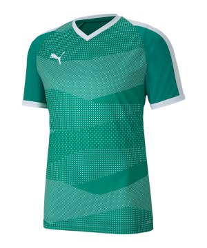 puma-teamfinal-indoor-trikot-gruen-f05-704491-teamsport_front.png