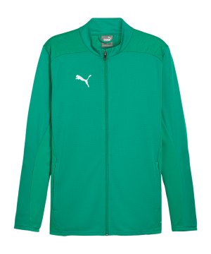 puma-teamfinal-trainingsjacke-gruen-f05-658554-teamsport_front.png