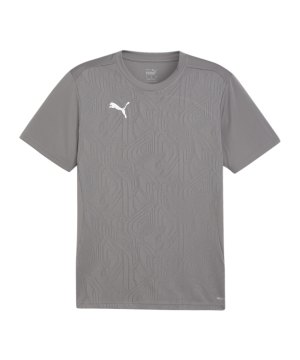 puma-teamfinal-trikot-grau-f13-658557-teamsport_front.png