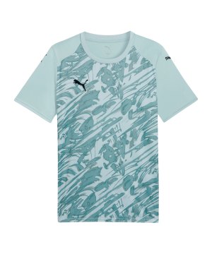 puma-teamfinal-trikot-gruen-f41-706536-teamsport_front.png