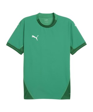 puma-teamfinal-trikot-gruen-weiss-gruen-f05-705737-teamsport_front.png