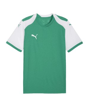puma-teamfinal26-knit-trikot-gruen-f05-706651-teamsport_front.png