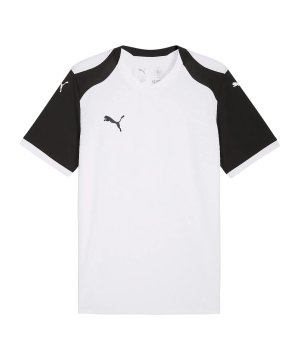 puma-teamfinal26-knit-trikot-weiss-f04-706651-teamsport_front.png