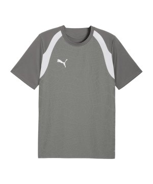 puma-teamfinal26-training-trikot-grau-f13-659675-teamsport_front.png