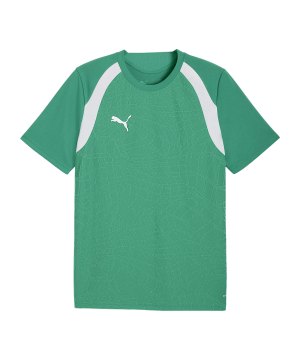 puma-teamfinal26-training-trikot-gruen-f05-659675-teamsport_front.png