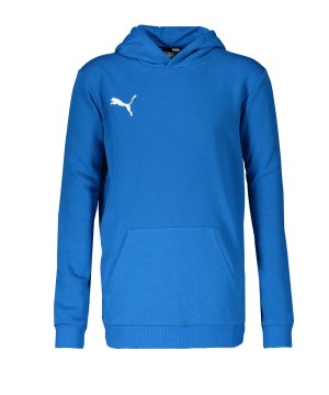 puma-teamgoal-23-casuals-hoody-kids-blau-f02-fussball-teamsport-textil-sweatshirts-656711.png