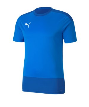 puma-teamgoal-23-training-trikot-blau-f02-fussball-teamsport-textil-trikots-656482.png