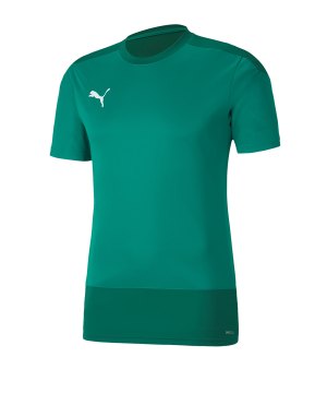 puma-teamgoal-23-training-trikot-gruen-f05-fussball-teamsport-textil-trikots-656482.png