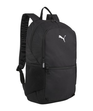 puma-teamgoal-ballnetz-rucksack-schwarz-f01-090467-equipment_front.png