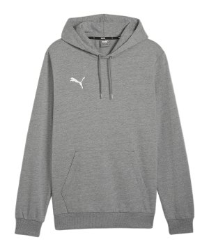 puma-teamgoal-casuals-hoody-grau-f33-658618-teamsport_front.png