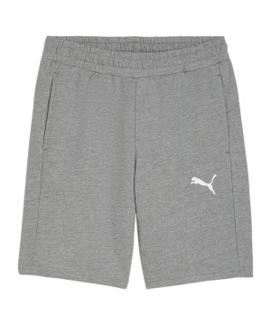 puma-teamgoal-casuals-shorts-grau-f33-658608-teamsport_front.png