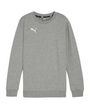 puma-teamgoal-casuals-sweatshirt-kids-grau-f33-658593-teamsport_front.png
