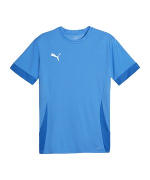 puma-teamgoal-matchday-trikot-blau-weiss-f02-705747-teamsport_front.png