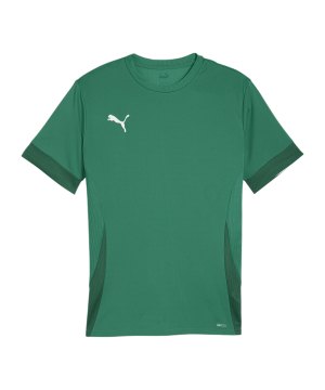 puma-teamgoal-matchday-trikot-gruen-weiss-f05-705747-teamsport_front.png
