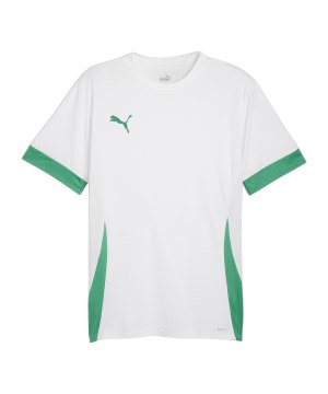 puma-teamgoal-matchday-trikot-weiss-gruen-f15-705747-teamsport_front.png