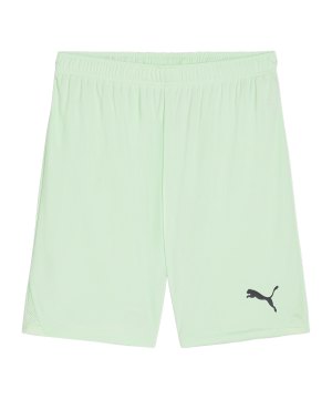 puma-teamgoal-short-gruen-schwarz-f60-705752-teamsport_front.png