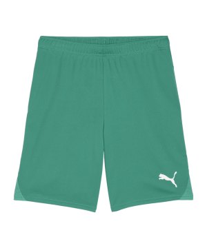puma-teamgoal-short-gruen-weiss-f05-705752-teamsport_front.png