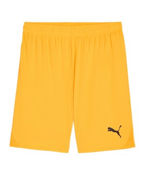 puma-teamgoal-short-orange-schwarz-f61-705752-teamsport_front.png