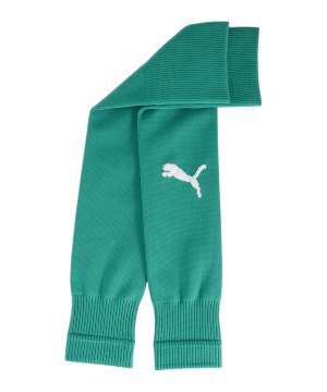 puma-teamgoal-sleeves-gruen-weiss-f05-706028-teamsport_front.png
