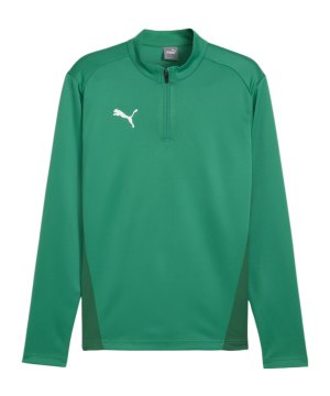 puma-teamgoal-training-1-4-zip-sweatshirt-gruen-f05-658629-teamsport_front.png