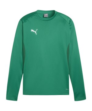puma-teamgoal-training-sweatshirt-gruen-f05-658649-teamsport_front.png