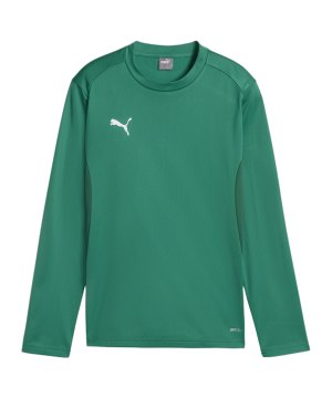 puma-teamgoal-training-sweatshirt-kids-gruen-f05-658651-teamsport_front.png