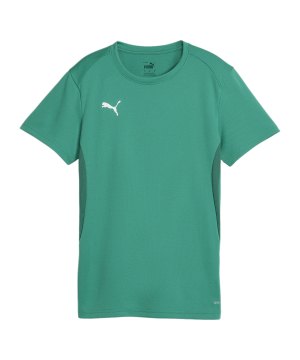 puma-teamgoal-trikot-damen-gruen-f05-658638-teamsport_front.png