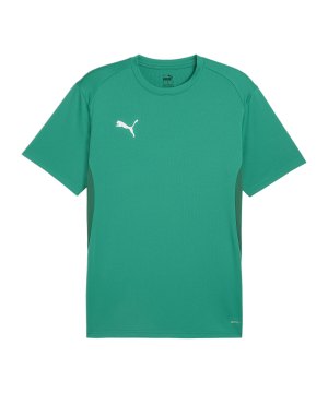 puma-teamgoal-trikot-gruen-f05-658636-teamsport_front.png