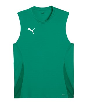 puma-teamgoal-trikot-gruen-f05-705913-teamsport_front.png