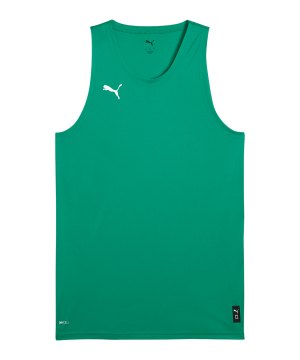 puma-teamjaws-starter-trikot-gruen-f010-685363-indoor_front.png