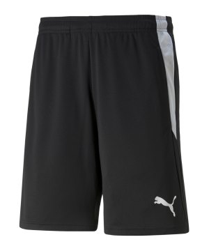 puma-teamliga-schiedsrichter-short-schwarz-f03-705453-teamsport_front.png