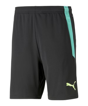 puma-teamliga-short-2-schwarz-f51-657667-teamsport_front.png