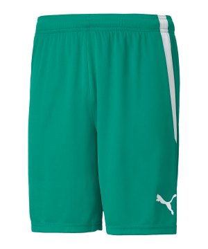 puma-teamliga-short-gruen-weiss-f05-704924-teamsport_front.png