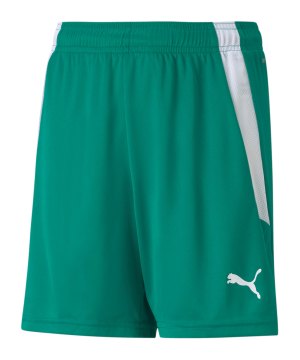 puma-teamliga-short-kids-gruen-weiss-f05-704931-teamsport_front.png