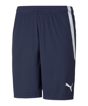puma-teamliga-shorts-blau-f06-704924-teamsport_front.png