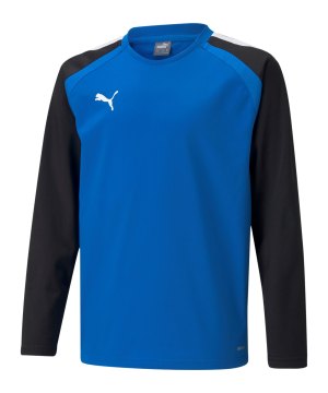 puma-teamliga-sweatshirt-kids-blau-f02-657239-teamsport_front.png
