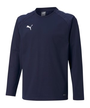 puma-teamliga-sweatshirt-kids-blau-f06-657239-teamsport_front.png