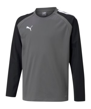 puma-teamliga-sweatshirt-kids-grau-f13-657239-teamsport_front.png