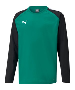 puma-teamliga-sweatshirt-kids-gruen-f05-657239-teamsport_front.png