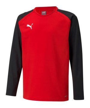 puma-teamliga-sweatshirt-kids-rot-f01-657239-teamsport_front.png