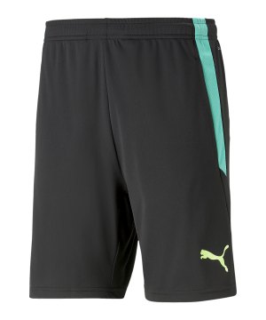 puma-teamliga-training-short-2-kids-schwarz-f51-657668-teamsport_front.png