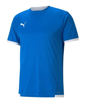 puma-teamliga-trikot-blau-f02-704917-teamsport_front.png