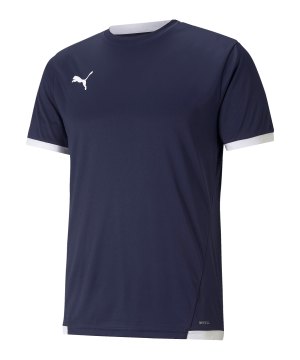 puma-teamliga-trikot-blau-f06-704917-teamsport_front.png