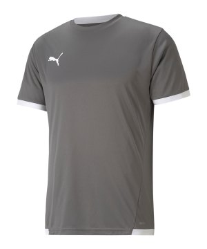 puma-teamliga-trikot-grau-f13-704917-teamsport_front.png
