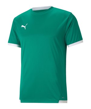 puma-teamliga-trikot-gruen-f05-704917-teamsport_front.png