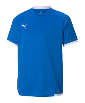 puma-teamliga-trikot-kids-blau-f02-704925-teamsport_front.png